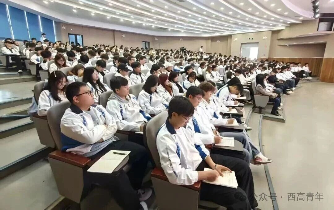 1761876138980638.jpg 1.jpg